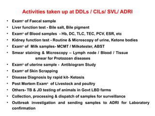 Dist Diagnostic Laboratory- Final 2.pptx