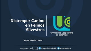 Distemper Canino
en Felinos
Silvestres
Vivian Pinzón Casas
 