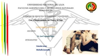 UNIVERSIDAD NACIONAL DE LOJA
FACULTAD AGROPECUARIA Y DE RECURSOS NATURALES
RENOVABLES
CARRERA DE MEDICINA VETERINARIA Y ZOOTECNIA
Cría y Mantenimiento del Perro y el Gato
DISTEMPER CANINO
DOCENTE:
Dr.JoséYaguanaMgSc
INTEGRANTES:
GuicelaAcaro
MichelleJaramillo
 