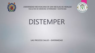 DISTEMPER
UAI: PROCESO SALUD – ENFERMEDAD
UNIVERSIDAD MICHOACANA DE SAN NICOLAS DE HIDALGO
FACULTAD DE MEDICINA VETERINARIA Y ZOOTECNIA
 