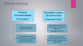 Forma crónica
 