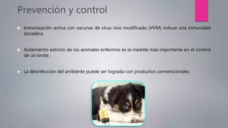 Prevención y control
 Inmunización activa con vacunas de virus vivo modificado (VVM) induce una inmunidad
duradera.
 Aislamiento estricto de los animales enfermos es la medida más importante en el control
de un brote.
 La desinfección del ambiente puede ser lograda con productos convencionales.
 