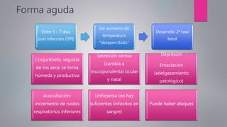 Forma aguda
Entre 3 – 7 días
post infección (DPI)
1er aumento de
temperatura
*desapercibido*
Desarrollo 2ª fase
febril
Conjuntivitis, seguida
de tos seca; se torna
húmeda y productiva
Secreción serosa
(cambia a
mucopurulenta) ocular
y nasal
Depresión
Emaciación
(adelgazamiento
patológico)
Auscultación:
incremento de ruidos
respiratorios inferiores
Linfopenia (no hay
suficientes linfocitos en
sangre)
Puede haber ataques
 