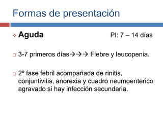 Formas de presentación
PI: 7 – 14 días



Aguda



3-7 primeros días Fiebre y leucopenia.



2º fase febril acompañada de rinitis,
conjuntivitis, anorexia y cuadro neumoenterico
agravado si hay infección secundaria.

 