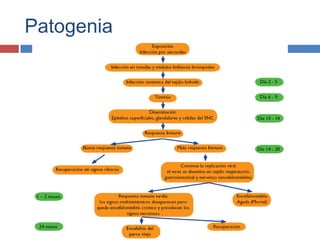Patogenia

 