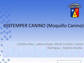 DISTEMPER CANINO (Moquillo Canino)
Catalina Díaz , Juliana Rojas, Mario Umaña, Camila
Rodríguez , Martha Bonilla
 