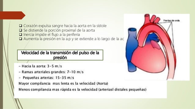 Tu tienes hipertensión renal ?