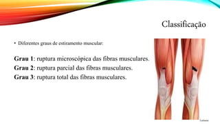 Classificação
• Diferentes graus de estiramento muscular:
Grau 1: ruptura microscópica das fibras musculares.
Grau 2: ruptura parcial das fibras musculares.
Grau 3: ruptura total das fibras musculares.
Lutiana
 