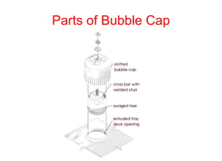 Parts of Bubble Cap
 