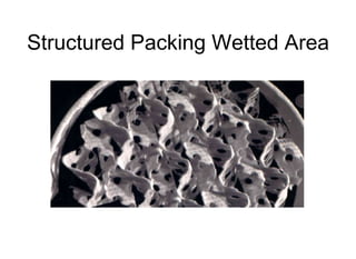 Structured Packing Wetted Area
 