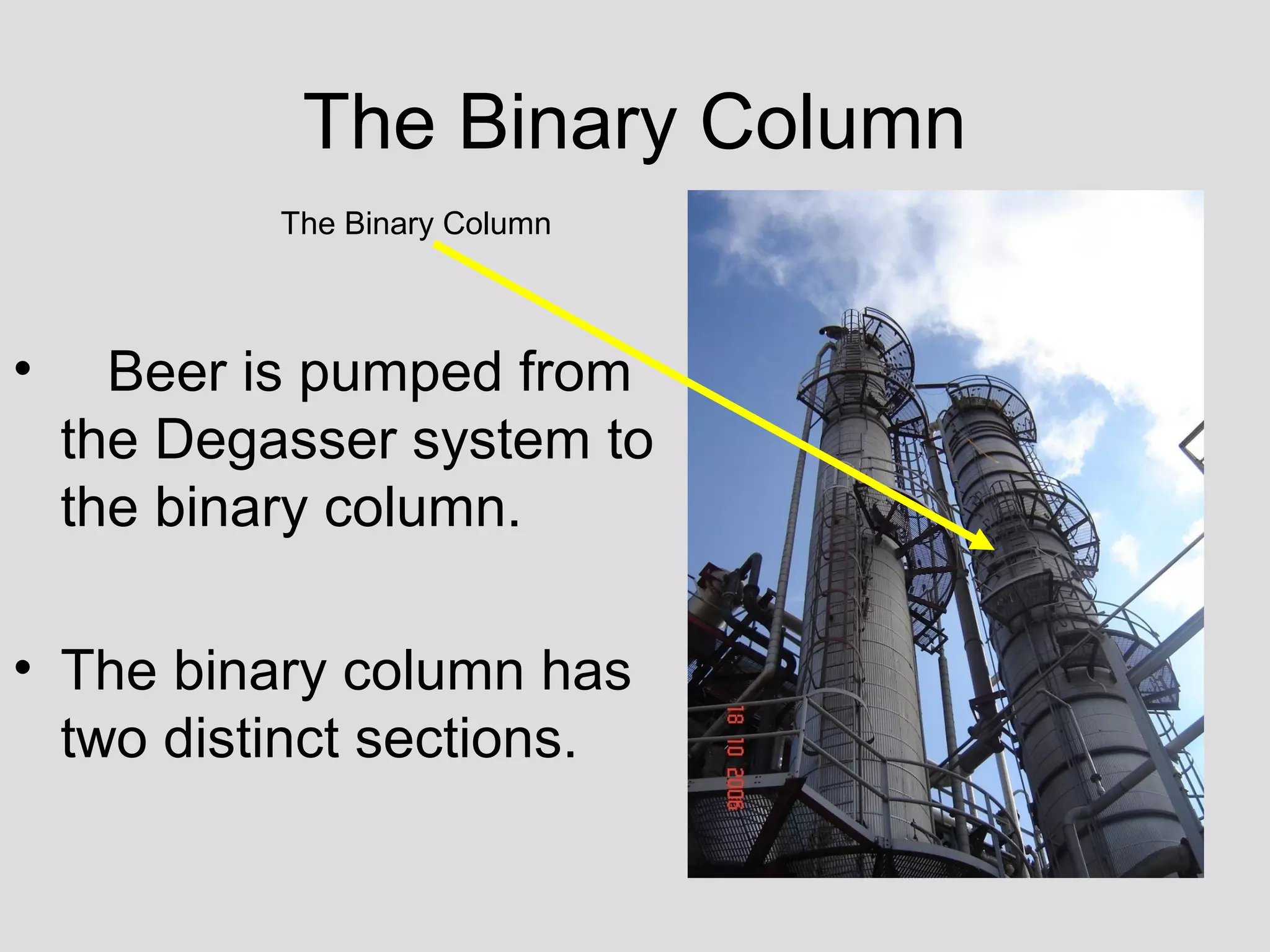 The Binary Column
• Beer is pumped from
the Degasser system to
the binary column.
• The binary column has
two distinct sections.
The Binary Column
 