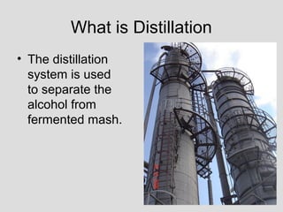 What is Distillation
• The distillation
system is used
to separate the
alcohol from
fermented mash.
 