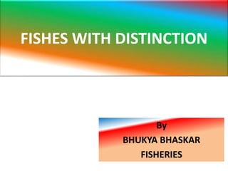 FISHES WITH DISTINCTION
By
BHUKYA BHASKAR
FISHERIES
 