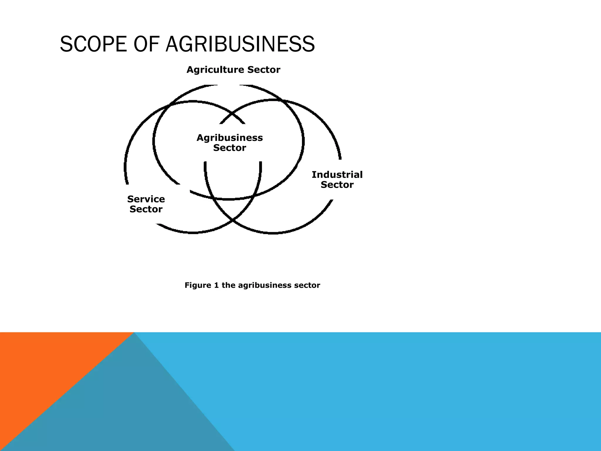Distinctive features of agribusiness management and the importance of ...