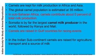 Distinctive features of camel reproduction | PDF