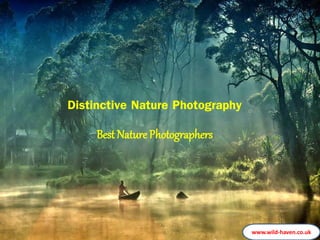 Distinctive Nature Photography
Best Nature Photographers
www.wild-haven.co.uk
 