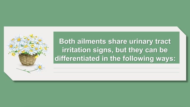 Image showcasing Distinguishing Prostatitis from Urinary Tract Infections | PPTX