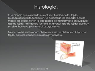 Histología.
Es la ciencia que estudia la estructura y función de los tejidos.
Cuando ocurre la fecundación, se desarrollan las llamadas células
madre, las cuales tienen la capacidad de transformarse en cualquier
tipo de tejido, he ir dando forma a los diversos tipo de tejidos que hay
en el ser humano, plantas u otros organismos.

En el caso del ser humano, al diferenciarse, se obtendrán 4 tipos de
tejido: epitelial, conectivo, muscular y nervioso.




                    Lauren Camareno 9-8
 