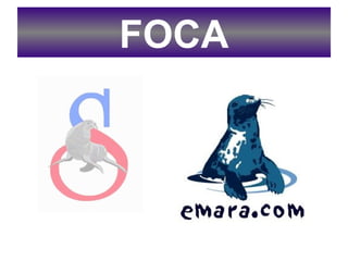 FOCA 