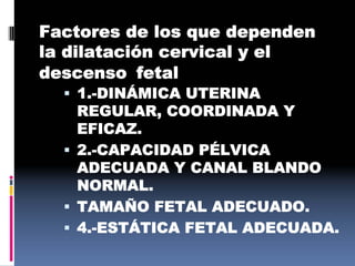 Factores de los que dependen
la dilatación cervical y el
descenso fetal
 1.-DINÁMICA UTERINA
REGULAR, COORDINADA Y
EFICAZ.
 2.-CAPACIDAD PÉLVICA
ADECUADA Y CANAL BLANDO
NORMAL.
 TAMAÑO FETAL ADECUADO.
 4.-ESTÁTICA FETAL ADECUADA.
 