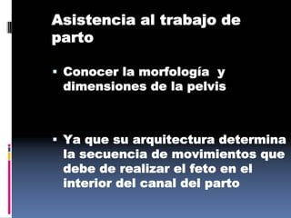 Asistencia al trabajo de
parto
 Conocer la morfología y
dimensiones de la pelvis
 Ya que su arquitectura determina
la secuencia de movimientos que
debe de realizar el feto en el
interior del canal del parto
 