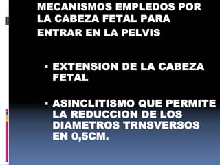 MECANISMOS EMPLEDOS POR
LA CABEZA FETAL PARA
ENTRAR EN LA PELVIS
 EXTENSION DE LA CABEZA
FETAL
 ASINCLITISMO QUE PERMITE
LA REDUCCION DE LOS
DIAMETROS TRNSVERSOS
EN 0,5CM.
 