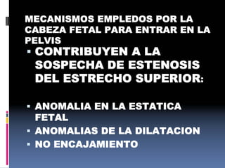 MECANISMOS EMPLEDOS POR LA
CABEZA FETAL PARA ENTRAR EN LA
PELVIS
 CONTRIBUYEN A LA
SOSPECHA DE ESTENOSIS
DEL ESTRECHO SUPERIOR:
 ANOMALIA EN LA ESTATICA
FETAL
 ANOMALIAS DE LA DILATACION
 NO ENCAJAMIENTO
 