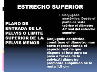 ESTRECHO SUPERIOR
 PLANO DE
ENTRADA DE LA
PELVIS O LIMITE
SUPERIOR DE LA
PELVIS MENOR
 Conjugado
anatómico. Desde el
punto de vista
teórico el diámetro
AP real del estrecho
superior
 Conjugado obstétrico
constituye el diámetro mas
corto representando el
espacio real de que
dispone el feto para su
paso a través de la
pelvis.Al diámetro
promonto subpúbico se le
resta 1,5 cm
 
