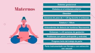 Maternos
Diabetes gestacional
Diabetes en el embarazo anterior
Obesidad
Ganancia de peso de > = 20 kg durante el embarazo
Estatura < 150cm
Antecedentes de distocia de hombros/ Macrosomía
Embarazo > a 42 semanas de gestación
Problemas con pelvis (antropoide y androide)
Progreso lento del trabajo de parto
Parto instrumentado con fórceps o con extracción
con vacuum
 