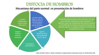 DISTOCIA DE HOMBROS
Mecanismo del parto normal en presentación de hombros
El diámetro biacromial de un feto a término es mayor
que el diámetro biparietal y puede sobrepasar el
diámetro mayor de encajamiento del estrecho superior.
La movilidad de los hombros les permite franquear el
estrecho superior uno después del otro a la manera de
un tornillo en su rosca.
Cuando la cabeza
llega a la vulva, los
hombros pasan el
estrecho superior
en su diámetro
oblicuo, el hombro
posterior
sigue la
dirección de la
concavidad del
sacro o de la
Escotadura
sacrociática y
luego el
hombro
anterior
franquea
el pubis
dirigiéndose
hacia la fosa
obturatriz;
Ubachs JM, Sloof A, Petters LL. Obstetric antecedents of surgically obstetric brachial plexus injuries. Br J Obstet Ginaecol 1995
 
