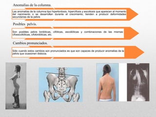 ANOMALÍAS DE LA COLUMNA.
Anomalías de la columna.
Las anomalías de la columna tipo hiperlordosis, hipercifosis y escoliosis que aparecen al momento
del nacimiento o se desarrollan durante el crecimiento, tienden a producir deformidades
secundarias de la pelvis
Posibles pelvis.
Son posibles pelvis lordóticas, cifóticas, escolióticas y combinaciones de las mismas:
cifoescolióticas, cifolordóticas, etc.
Cambios pronunciados.
Sólo cuando estos cambios son pronunciados es que son capaces de producir anomalías de la
pelvis que ocasionen distocia.
 