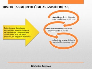 Distocias Pélvicas
DISTOCIAS MORFOLÓGICAS ASIMÉTRICAS:
Asimétrica leve: distocia
sacro cotiloidea = 8-9 cm
Asimétrica moderada: distancia
sacrocotiloides = 7-8cm
Asimétrica severa: distancia
sacrotiloidea menor de 6 cm
Estos tipos de distocias se
subclasifican según la distancia
sacrocotiloidea, cuya dimensión
normal es de 9cm. Se habla
entonces, de 3 tipos de asimetría:
 