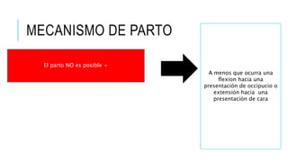MECANISMO DE PARTO
El parto NO es posible +
A menos que ocurra una
flexion hacia una
presentación de occipucio o
extensión hacia una
presentación de cara
 