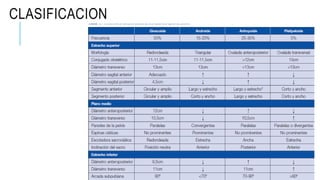 CLASIFICACION
 