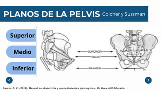 Distocias.pdf