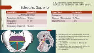 Estrecho Superior
DIAMETROS PROMEDIO
ANTEROPOSTERIOR
Conjugado obstetrico 10.6 cm
Conjugado
verdadero
11 cm
Conjugado diagonal 12.5 cm
DIAMETROS PROMEDIO
Transverso 13 cm
Oblicuos / Diagonales 12.75 cm
Sagital Posterior 4 cm
• Dificultad para que la presentación se encaje.
• Tendencia a que ocurra asinclitismo marcado si
ocurre el encajamiento
• Mayor frecuencia de ruptura prematura de
membranas
• Aumento en la frecuencia de distocias de
contracción
• Facilidad para que ocurra prolapso del cordón
• Alteraciones en el cráneo fetal caput
succedaneum.
EL DIÁMETRO PROMONTO-RETROPÚBICO
(CONJUGADO OBSTÉTRICO) MIDE MENOS DE 10 CM
 