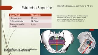 Estrecho Superior
DIAMETROS PROMEDIO
Interespinoso 13 cm
Anteroposterior 12.75 cm
Diámetro sagital
posterior
4 cm
La estrechez pélvica a este nivel no siempre
es motivo de distocia, ya que está ocurre
cuando además hay alteraciones en la
forma de la mitad anterior de la pélvis.
EXPLORACIÓN POR VÍA VAGINAL APRECIAN LAS
ESPINAS CIÁTICAS MÁS PROMINENTES
Diámetro biespinoso es inferior a 9.5 cm
 