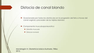 Distocia de canal blando
 Ocacionada por todos los obstáculos en la progresión del feto a travez del
canal vaginal y proceden de los tejidos blandos
 Componente musculoaponeurotico
 Distrofia muscular
 Distocia tumoral
Mondragón H. Obstetricia básica ilustrada. Trillas;
2012.
 
