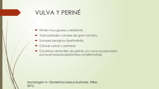 VULVA Y PERINÉ
 Himen muy grueso y resistente.
 Varicosidades vulvares de gran tamaño.
 Tumores benignos (bartholinitis.
 Cáncer vulvar o perineal
 Cicatrices retráctiles de periné y/o vulva,ocasionadas
por:quemaduras,epistomías,condilomatosis
Mondragón H. Obstetricia básica ilustrada. Trillas;
2012.
 