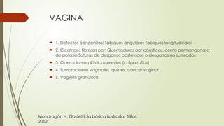 VAGINA
 1. Defectos congénitos: Tabiques angulares Tabiques longitudinales
 2. Cicatrices fibrosas por: Quemaduras por cáusticos, como permanganato
de potasio Suturas de desgarros obstétricos o desgarros no suturados
 3. Operaciones plásticas previas (colporrafias)
 4. Tumoraciones vaginales, quistes, cáncer vaginal
 5. Vaginitis granulosa
Mondragón H. Obstetricia básica ilustrada. Trillas;
2012.
 