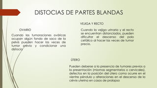 DISTOCIAS DE PARTES BLANDAS
OVARIO
Cuando las tumoraciones ováricas
ocupan algún fondo de saco de la
pelvis pueden hacer las veces de
tumor previo y condicionar una
distocia
VEJIGA Y RECTO
Cuando la vejiga urinaria y el recto
se encuentran distanciados, pueden
dificultar el descenso del polo
cefálico al hacer las veces de tumor
precio.
ÚTERO
Pueden deberse a la presencia de tumores previos a
la presentación (miomas segmentarios o cervicales),
defectos en la posición del útero como ocurre en el
vientre péndulo y alteraciones en el descenso de la
cérvix uterina en casos de prolapso
 