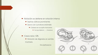  Rotación se detiene en rotación interna
 Espinas ciáticas prominentes
 Sacro con curvatura anómala
 Cabeza en occipito transversa
 Forceps Kjieland ….. (Cesárea)
 Casos raros 12%
 Rotación de 45grados en sentido
Contrario
Occipitosacra
 