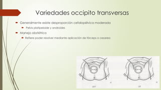 Variedades occipito transversas
 Generalmente existe desproporción cefalopélvica moderada
 Pelvis platipeloide y androides
 Manejo obstétrico
 Refiere poder resolver mediante aplicación de fórceps o cesarea
 