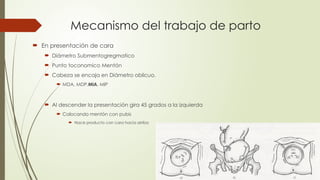 Mecanismo del trabajo de parto
 En presentación de cara
 Diámetro Submentogregmatico
 Punto toconomico Mentón
 Cabeza se encaja en Diámetro oblicuo.
 MDA, MDP,MIA, MIP
 Al descender la presentación gira 45 grados a la izquierda
 Colocando mentón con pubis
 Nace producto con cara hacia arriba
 