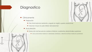 Diagnostico
 Clínicamente
 Palpación
 Polo fetal redondo resistente y regular en región superior abdominal
 Volumen mayor en polo inferior del abdomen
 Auscultación
 Detección de frecuencia cardiaca fetal en cuadrantes abdominales superiores
 Cerca de la línea media en variedades anteriores y distante de línea media en posteriores
 
