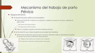 Mecanismo del trabajo de parto
Pélvico
 Desprendimiento
 En presentaciones pélvicas incompletas
 Apoya el trocánter anterior en el subpubis y desliza el cuerpo en el sacro, saliendo la
pelvis fetal
 Primero trocánter posterior
 Después trocánter Anterior
 Pélvica completa expulsa miembros inferiores primero
 En el momento que nace la pelvis se encajan los hombros
 Orientando el diámetro biacromial en el mismo diámetro oblicuo del estrecho superior
en el que se encajo el diámetro bitrocanterico
 Al llegar al piso pélvico los hombros rotan 45 grados
 Se orientan en diámetro anteroposterior de la pelvis
 
