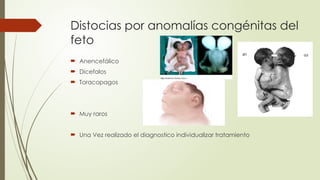Distocias por anomalías congénitas del
feto
 Anencefálico
 Dicefalos
 Toracopagos
 Muy raros
 Una Vez realizado el diagnostico individualizar tratamiento
 