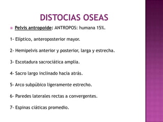  Pelvis antropoide: ANTROPOS: humana 15%.
1- Elíptico, anteroposterior mayor.
2- Hemipelvis anterior y posterior, larga y estrecha.
3- Escotadura sacrociática amplia.
4- Sacro largo inclinado hacia atrás.
5- Arco subpúbico ligeramente estrecho.
6- Paredes laterales rectas a convergentes.
7- Espinas ciáticas promedio.
 