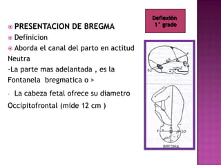  PRESENTACION DE BREGMA
 Definicion
 Aborda el canal del parto en actitud
Neutra
-La parte mas adelantada , es la
Fontanela bregmatica o >
- La cabeza fetal ofrece su diametro
Occipitofrontal (mide 12 cm )
Deflexión
1° grado
 