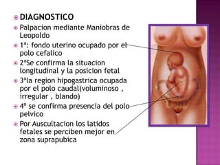  DIAGNOSTICO
 Palpacion mediante Maniobras de
Leopoldo
 1ª: fondo uterino ocupado por el
polo cefalico
 2ªSe confirma la situacion
longitudinal y la posicion fetal
 3ªla region hipogastrica ocupada
por el polo caudal(voluminoso ,
irregular , blando)
 4º se confirma presencia del polo
pelvico
 Por Auscultacion los latidos
fetales se perciben mejor en
zona suprapubica
 